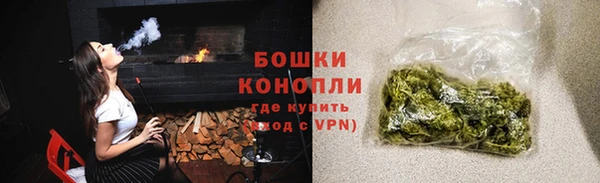 дживик Грязовец