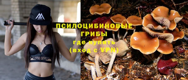 героин Елизово