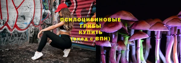 герыч Ельня
