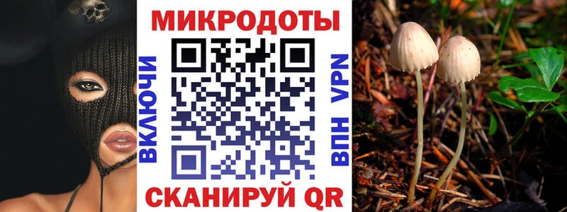 Галлюциногенные грибы Psilocybe  сколько стоит  Ивантеевка 